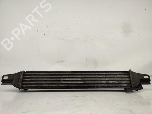 Intercooler FIAT FIORINO Box Body/MPV (225_) 1.3 D Multijet (225BXD1A, 225BXB1A, 225BXB11) 51790623
