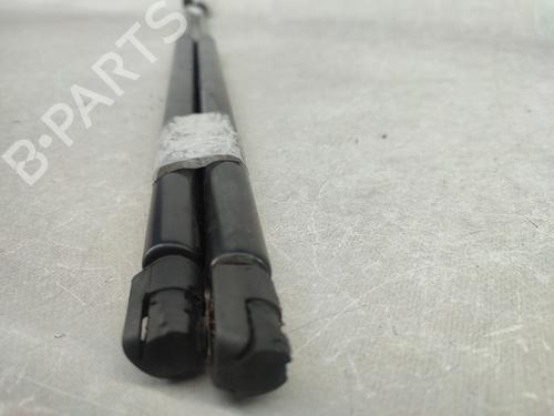 Tailgate lift support MERCEDES-BENZ M-CLASS (W163) ML 230 (163.136) | BP16523006C138 