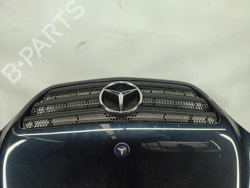 Hood MERCEDES-BENZ M-CLASS (W163) ML 230 (163.136) | BP16538549C1 