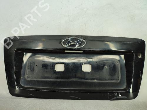 Door moulding trim HYUNDAI TERRACAN (HP) 2.9 CRDi PARTIDO 