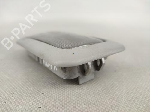 Interior roof light FIAT FIORINO Box Body/MPV (225_) 1.3 D Multijet (225BXD1A, 225BXB1A, 225BXB11) | BP17429874I8 