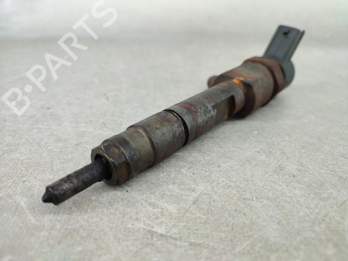 Injector RENAULT MEGANE II Estate (KM0/1_) 1.9 dCi (KMRG, KM1G, KM0G, KM2C) | BP17338074M100