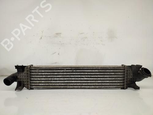 Intercooler FORD C-MAX (DM2) 2.0 TDCi 3M5H9L440AE