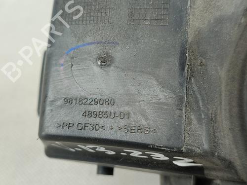 Fuel flap PEUGEOT 308 SW II (LC_, LJ_, LR_, LX_, L4_) 1.5 BlueHDi 130 | BP17555566C131 