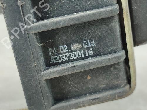 Hinge/Door check strap MERCEDES-BENZ C-CLASS (W203) C 270 CDI (203.016) | BP17964034C146 
