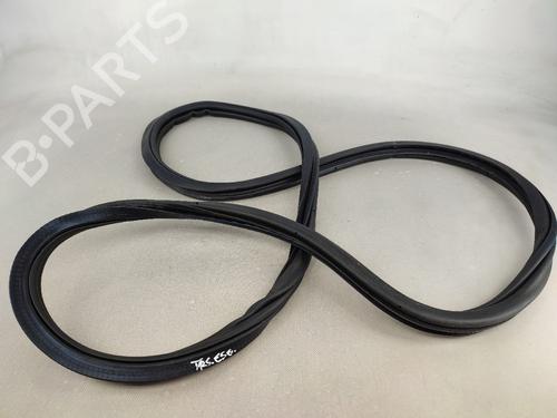 Used Rubber door seal VW POLO VI (AW1, BZ1, AE1) 1.0 TSI (95 hp) 17991341