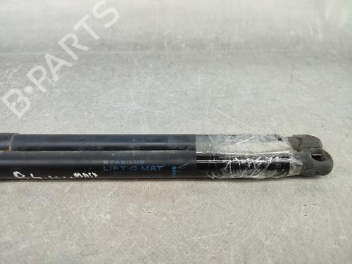 Tailgate lift support RENAULT MEGANE III Grandtour (KZ0/1) 1.9 dCi (KZ0J, KZ0N, KZ1S) | BP17791536C138