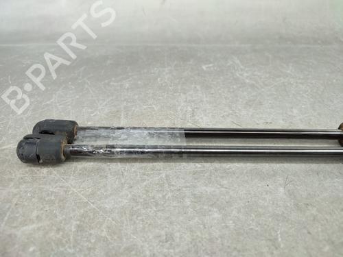 Tailgate lift support RENAULT MEGANE III Grandtour (KZ0/1) 1.9 dCi (KZ0J, KZ0N, KZ1S) | BP17791536C138