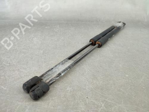 Tailgate lift support RENAULT MEGANE III Grandtour (KZ0/1) 1.9 dCi (KZ0J, KZ0N, KZ1S) | BP17791536C138