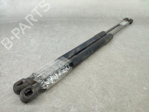 Tailgate lift support RENAULT MEGANE III Grandtour (KZ0/1) 1.9 dCi (KZ0J, KZ0N, KZ1S) | BP17791536C138