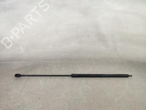 Used Hood lift support Hood lift support RENAULT MEGANE III Grandtour (KZ0/1) 1.9 dCi (KZ0J, KZ0N, KZ1S) (131 hp) 17791587 17791587
