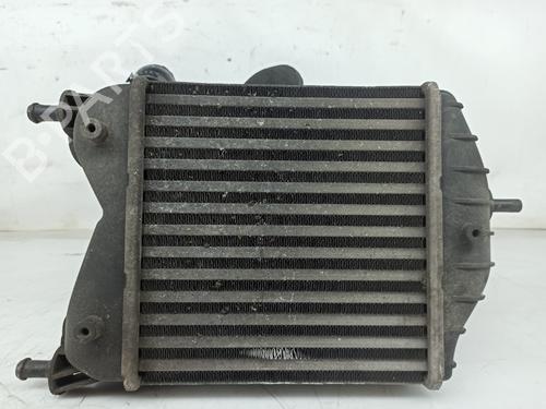 Intercooler LANCIA MUSA (350_) 1.3 D Multijet (350.AXB11, 350.AXB1A) 847850000