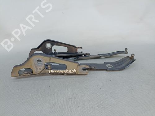 Hinge/Door check strap BMW 3 (E90) 318 d | BP18951984C146 