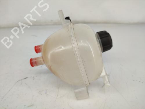 Expansion tank RENAULT TWINGO III (BCM_, BCA_) 0.9 TCe 90 (BCM9, BCM2) | BP19128996C120