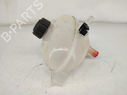 Expansion tank RENAULT TWINGO III (BCM_, BCA_) 0.9 TCe 90 (BCM9, BCM2) | BP19128996C120