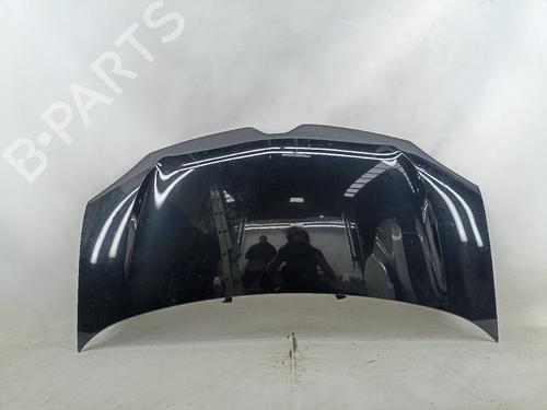 Used Hood RENAULT TWINGO III (BCM_, BCA_) 0.9 TCe 90 (BCM9, BCM2) (90 hp) 19153724