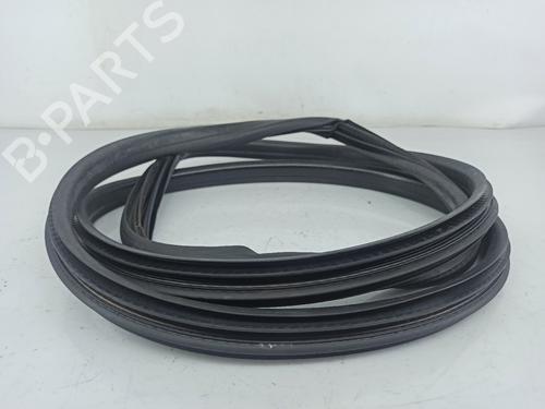 Rubber door seal RENAULT GRAND SCÉNIC III (JZ0/1_) 1.5 dCi (JZ09, JZ0D, JZ10, JZ14, JZ1G, JZ29, JZ2C) N.V.