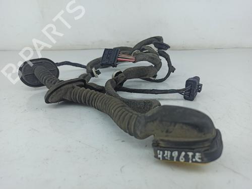 Other RENAULT GRAND SCÉNIC III (JZ0/1_) 1.5 dCi (JZ09, JZ0D, JZ10, JZ14, JZ1G, JZ29, JZ2C) CABLAGEM PORTA