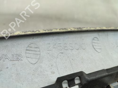 Gitter CITROËN XSARA PICASSO (N68) 1.6 | BP19304826C40