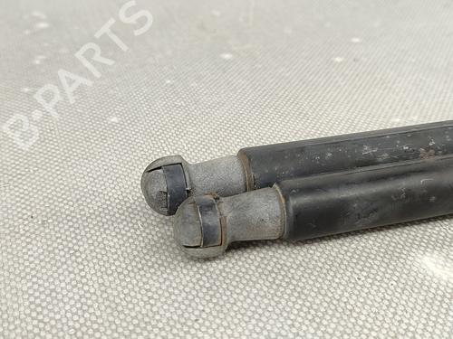 Tailgate lift support NISSAN QASHQAI I (J10, NJ10) 1.5 dCi | BP19431686C138 