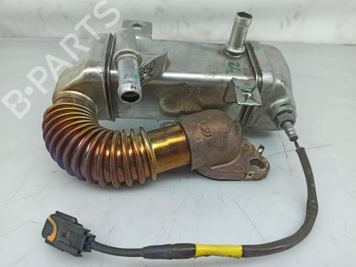 Egr RENAULT KADJAR (HA_, HL_) 1.6 dCi 130 (HLA4) | BP19487534M69 