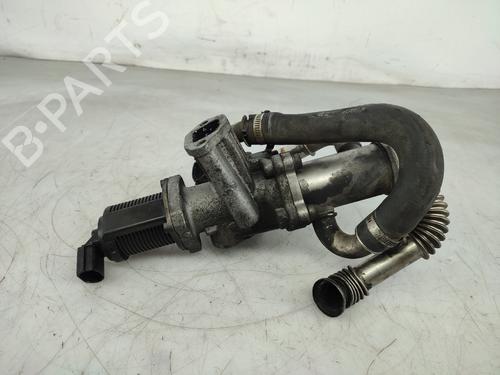 Egr OPEL COMBO Box Body/MPV 1.3 CDTI 16V | BP19695131M69 