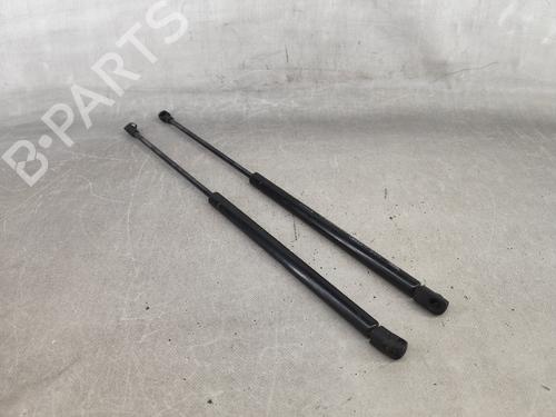Tailgate lift support VW GOLF IV (1J1) 1.6 612489