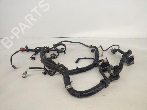 BP20127186O1 main image