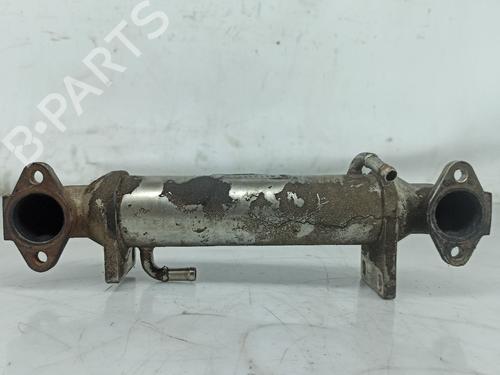 Egr ISUZU ELF Platform/Chassis (NKR8_, NKQ8_) 3.0 Di 8972399823