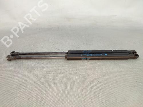 Tailgate lift support ALFA ROMEO GT (937_) 1.9 JTD (937CXN1B) 50508060
