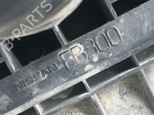 Air filter box NISSAN PATHFINDER III (R51) 2.5 dCi | BP21079520M87 