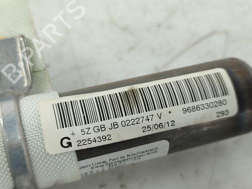 Left curtain airbag PEUGEOT 508 SW I (8E_) 2.0 HDi RXH Hybrid4 | BP21171277C11 