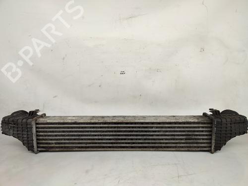 Intercooler MERCEDES-BENZ CLS (C219) CLS 320 CDI (219.322) | BP21557691M30 
