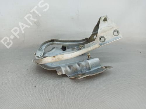 Hinge/Door check strap RENAULT MEGANE IV Grandtour (K9A/M/N_) 1.5 dCi 110 | BP22345922C146 