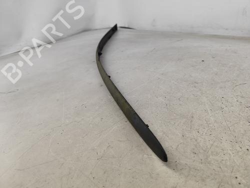 Door moulding trim NISSAN ALMERA TINO (V10) 1.8 | BP22687696C150 