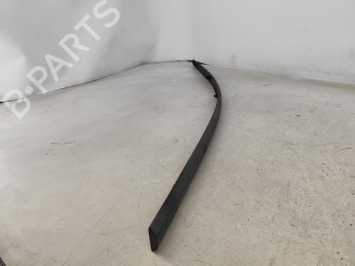 Door moulding trim NISSAN ALMERA TINO (V10) 1.8 | BP22687696C150 