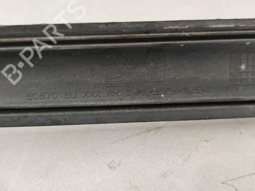 Door moulding trim NISSAN ALMERA TINO (V10) 1.8 | BP22687696C150 