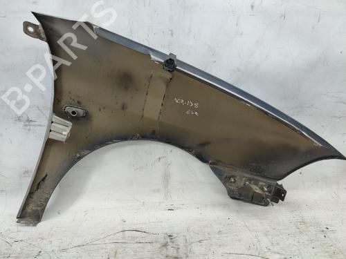 Left front fenders SEAT IBIZA III (6L1) 1.2 | BP23196834C41 