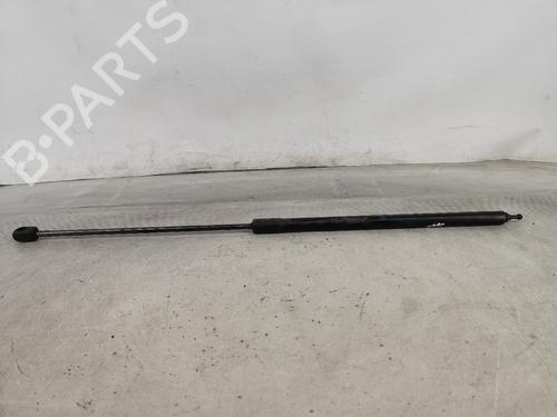 Hood lift support RENAULT MEGANE III Grandtour (KZ0/1) 1.5 dCi (KZ09, KZ0D, KZ1G, KZ29, KZ14, KZ1W, KZ10, KZ1F,... | BP22968632C139 