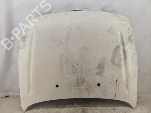 Hood FIAT BRAVO I (182_) 1.9 TD 100 S (182.AF) N/V