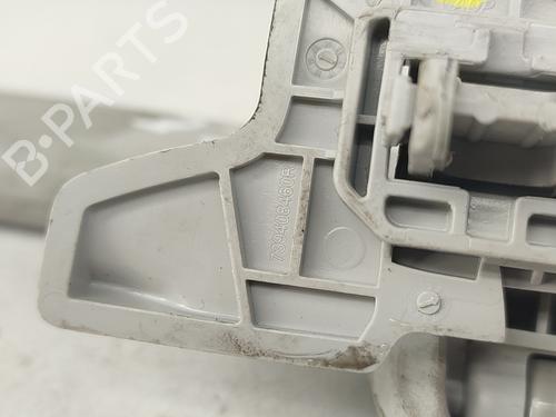 Interior roof handle RENAULT KADJAR (HA_, HL_) 1.5 BLUE dCi 115 (HLA6) | BP23550896I35 