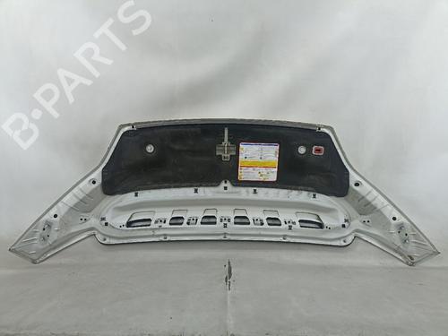 Hood CITROËN JUMPER II Van 2.2 BlueHDi 120 | BP23884992C1 