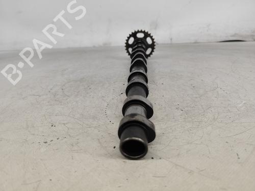 Other MERCEDES-BENZ SPRINTER 5-t Platform/Chassis (B906) 513 CDI (906.155, 906.253, 906.255, 906.153) | BP23953104O1 