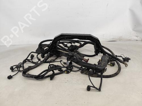 BP23954491O1 main image