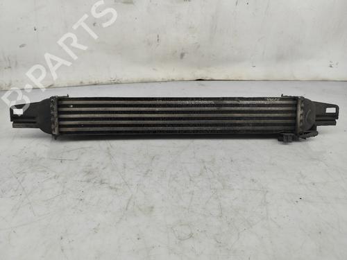 Intercooler FIAT FIORINO Box Body/MPV (225_) 1.3 D Multijet (225BXD1A, 225BXB1A, 225BXB11) | BP24145688M30 