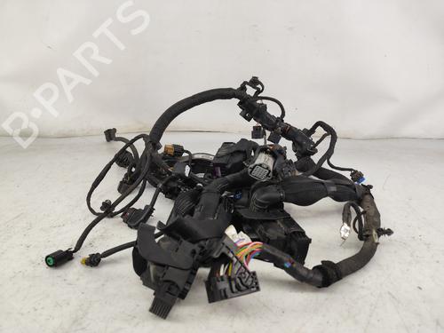 BP24124776O1 main image