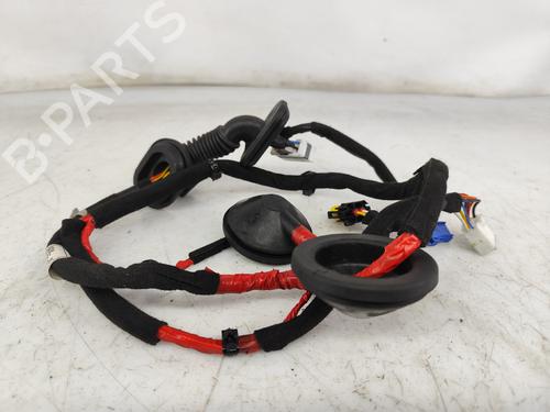 BP24124781O1 main image