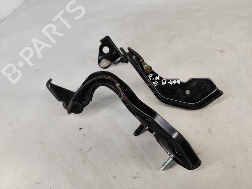 Hinge/Door check strap JAGUAR I-PACE (X590) EV400 AWD | BP24441264C146 