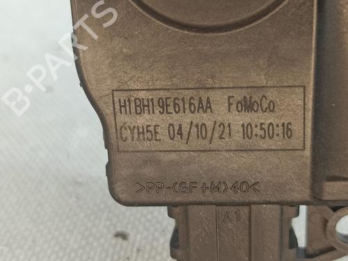 Elektronische module FORD FIESTA VII (HJ, HF) 1.0 EcoBoost | BP24510715M83