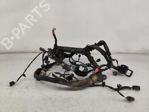 BP24510728O1 main image